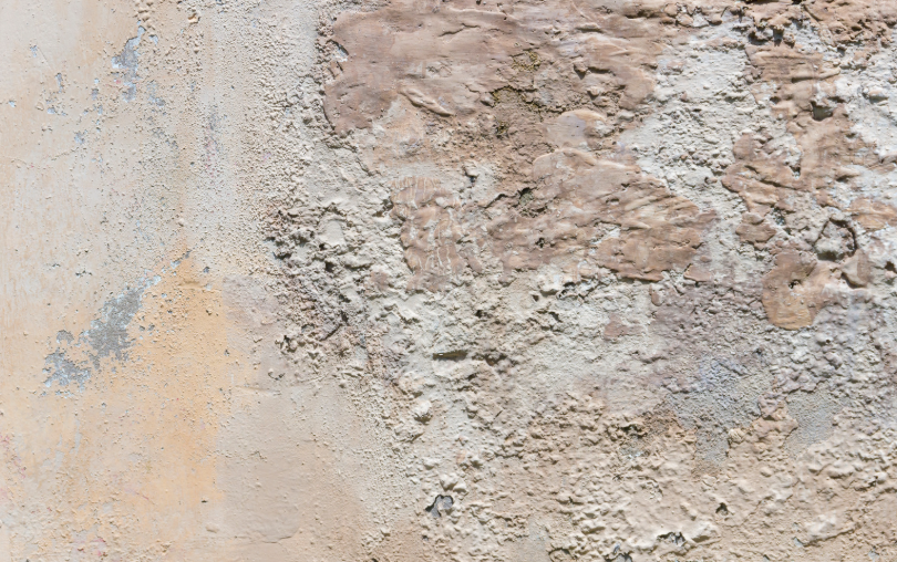 Salpêtre sur un mur intérieur